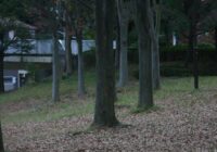 富岡総合公園