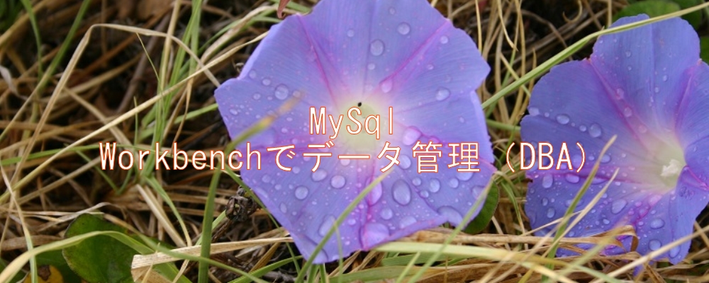 MySQL Workbench MySQL Workbench
