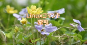 Linuxコマンド索引