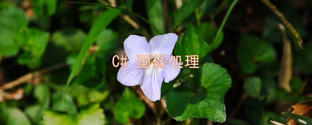 C# 画像処理